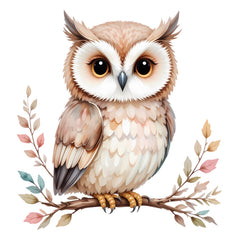 Collection image for: Owls