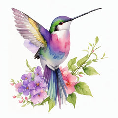 Collection image for: Hummingbirds