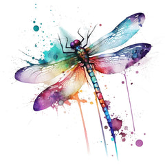 Collection image for: Dragonflies