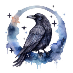 Collection image for: Raven