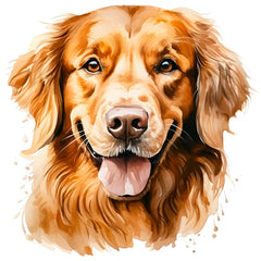 Collection image for: Dogs