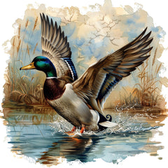 Collection image for: Ducks