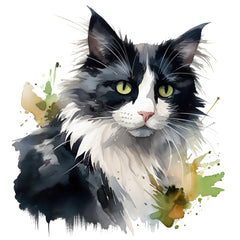 Collection image for: Cats