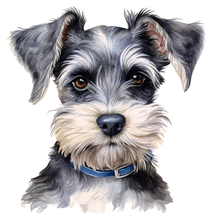 dog with a blue collar fabric panel