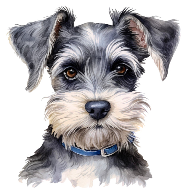 dog with a blue collar fabric panel