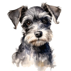Collection image for: Miniature Schnauzer
