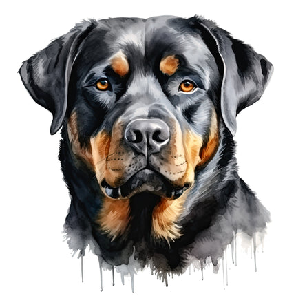 Rottweiler Dog 100% Cotton Fabric Panel Block AA6017