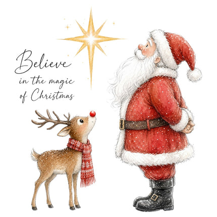 Believe in the Magic of Christmas 100% Cotton Fabric Panel Block AAB4024