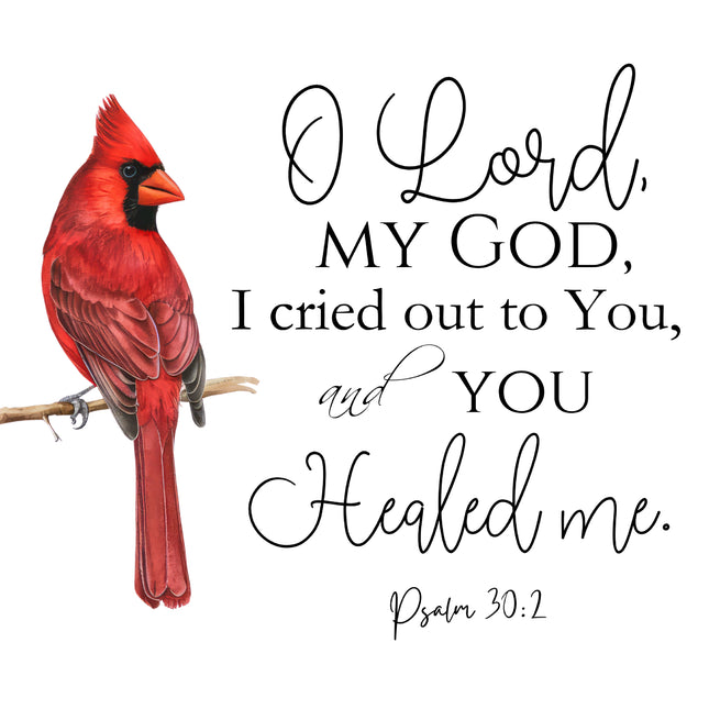 Psalm 30:2 Bible Verse Cardinal 100% Cotton Fabric Panel Block AB1004