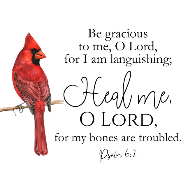 Psalm 6:2 Bible Verse Cardinal 100% Cotton Fabric Panel Block AB1005