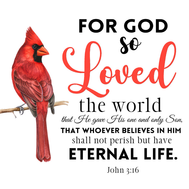 John 3:16 Bible Verse Cardinal 100% Cotton Fabric Panel Block AB1008