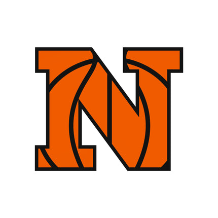 Basketball Letter Initial N 100% Cotton Fabric Panel Block AB1426