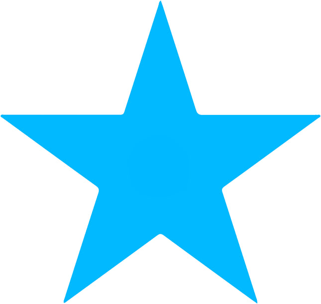 Star 100% Cotton Fabric Panel Block AC32