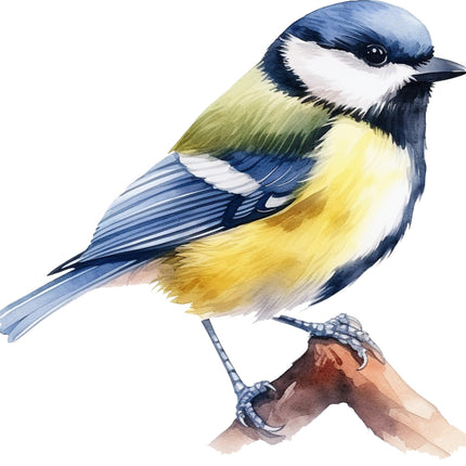 Colorful bird fabric panel
