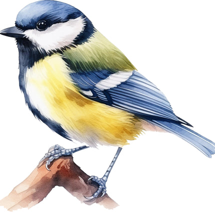 Colorful bird fabric panel
