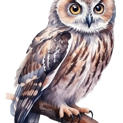 Colorful owl fabric panel