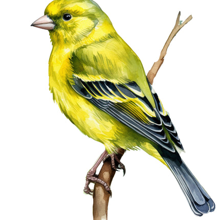 Yellow bird perched on a branch fabric panel