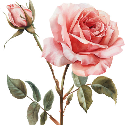 Pink rose fabric panel