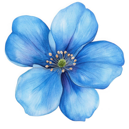 Blue floral quilt block