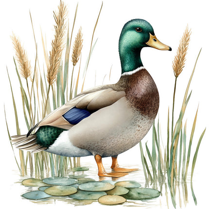 mallard duck cotton quilt panel