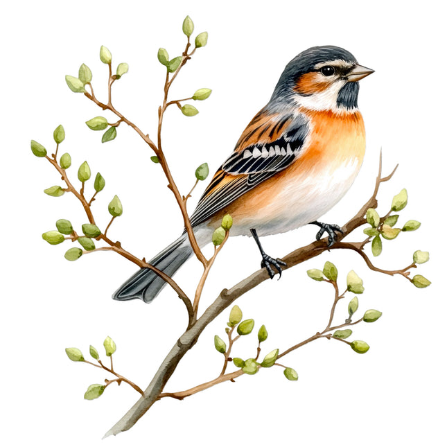bird perched on a branch quilt panel