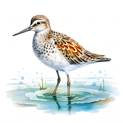 sandpiper fabric panel