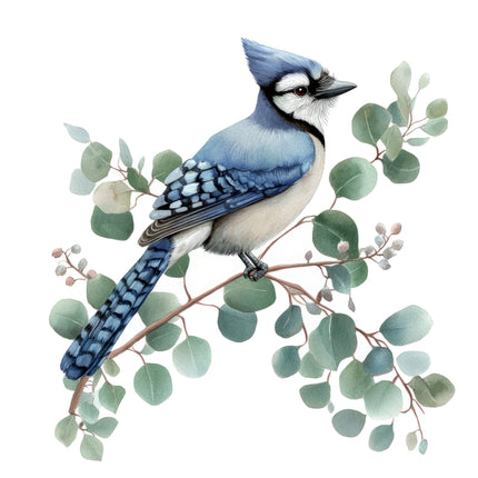 blue jay fabric quilt square