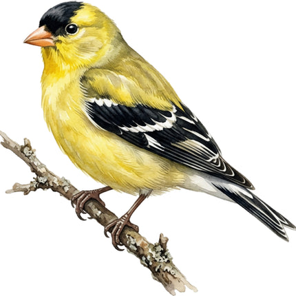 finch fabric panel