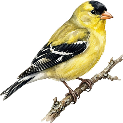 finch quilt square