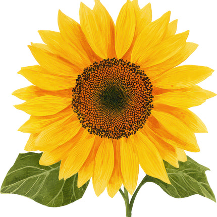 sunflower quilt square