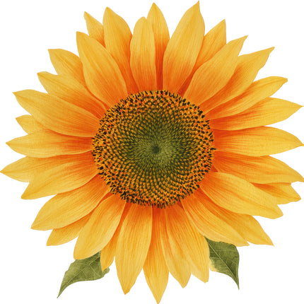 sunflower quilt block