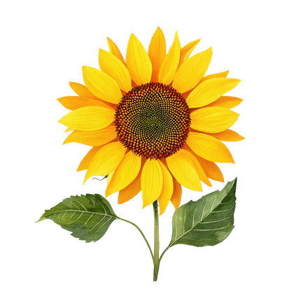 sunflower quilt block