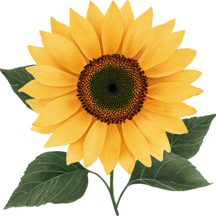 Sunflower 100% Cotton Fabric Panel Block AN2069