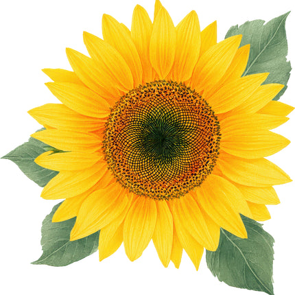 Sunflower 100% Cotton Fabric Panel Block AN2070