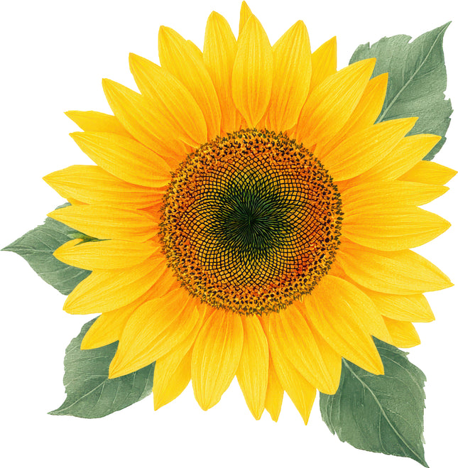 Sunflower 100% Cotton Fabric Panel Block AN2070