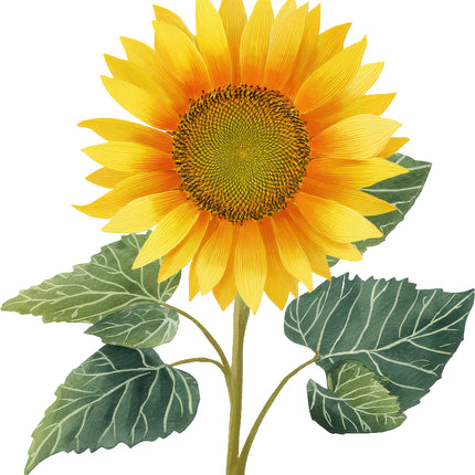 Sunflower 100% Cotton Fabric Panel Block AN2071