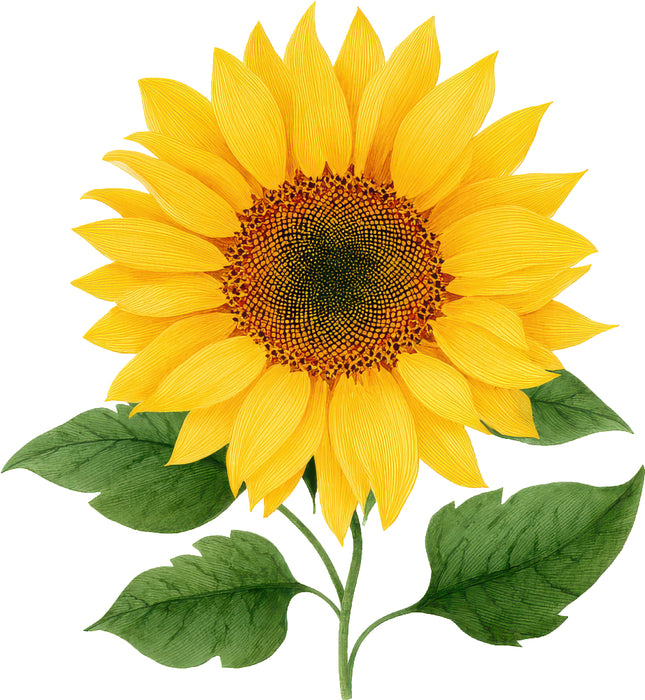Sunflower 100% Cotton Fabric Panel Block AN2075