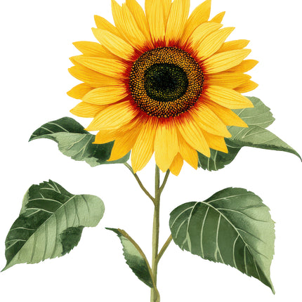 Sunflower 100% Cotton Fabric Panel Block AN2078