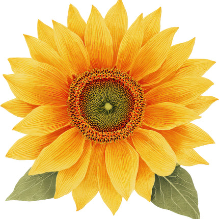 Sunflower 100% Cotton Fabric Panel Block AN2079