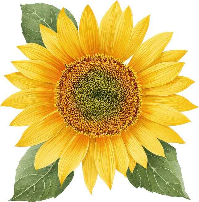 Sunflower 100% Cotton Fabric Panel Block AN2081