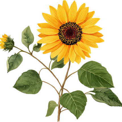 Sunflower 100% Cotton Fabric Panel Block AN2083
