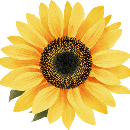 Sunflower 100% Cotton Fabric Panel Block AN2084