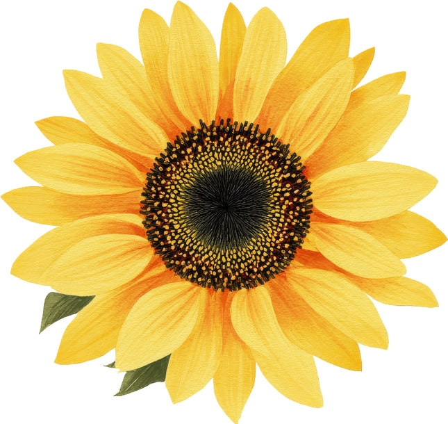 Sunflower 100% Cotton Fabric Panel Block AN2084