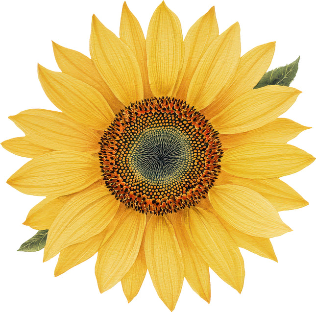Sunflower 100% Cotton Fabric Panel Block AN2085