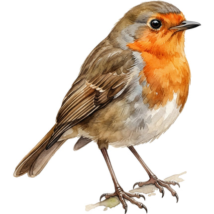 robin quilt block