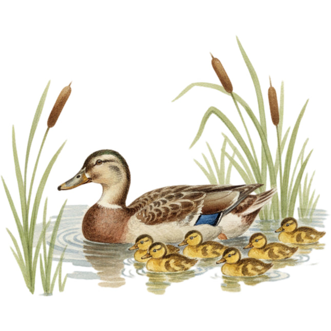 ducks fabric panel