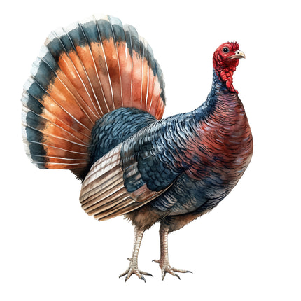 turkey quilt block