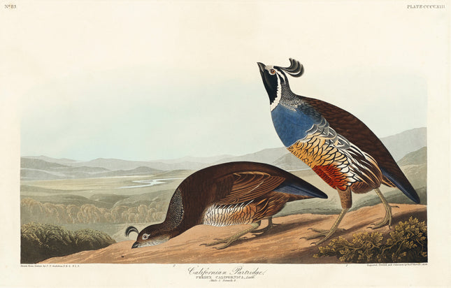 John James Audubon partridge fabric panel