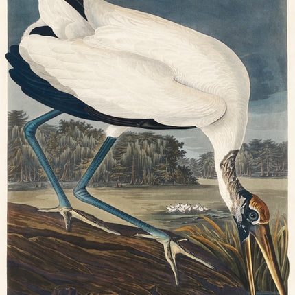 John James Audubon stork fabric panel