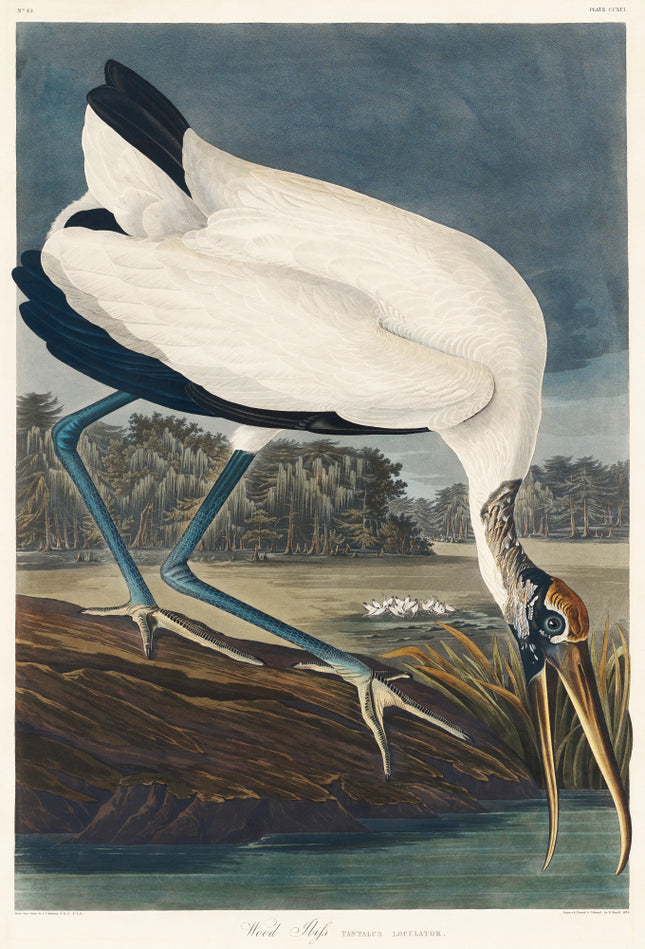 John James Audubon stork fabric panel